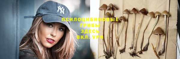 кокс Богородицк