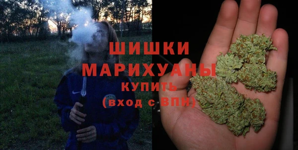 кокс Богородицк