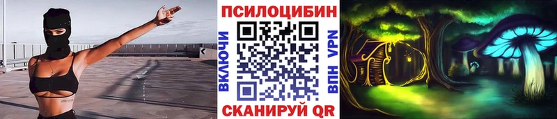 Галлюциногенные грибы прущие грибы  Котовск 